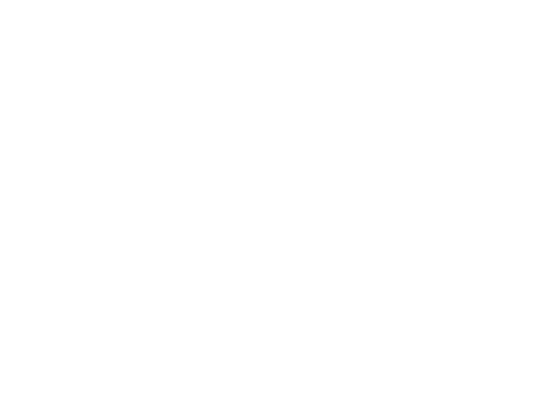 Petrucci Brothers logo
